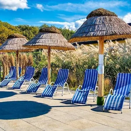 Comfortable Homes With A Pool